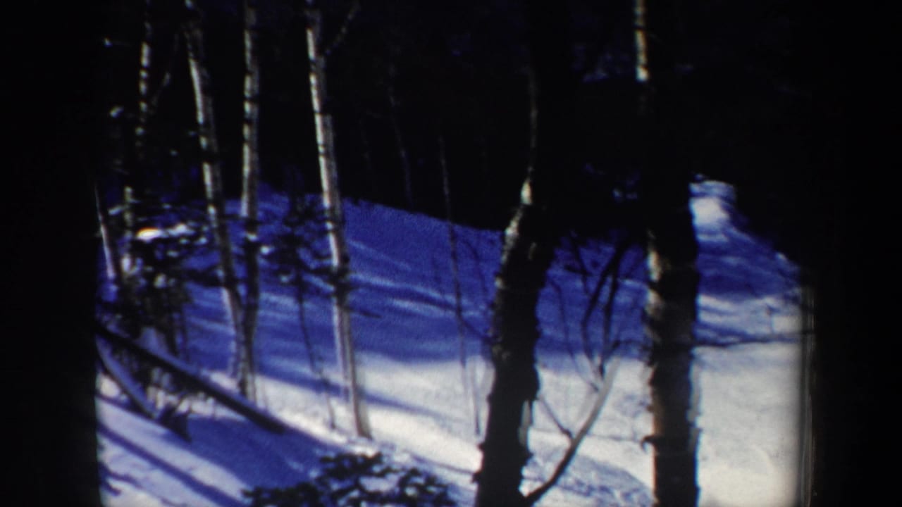 1962 New Hampshire 8mm frame of the snowy forest slope after the skier has moved out of clear view.