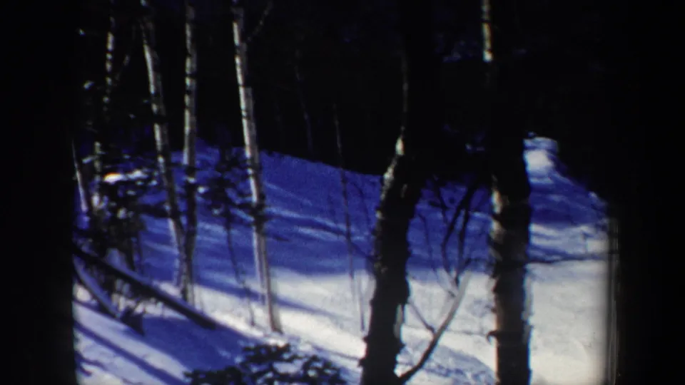 1962 New Hampshire 8mm frame of the snowy forest slope after the skier has moved out of clear view.