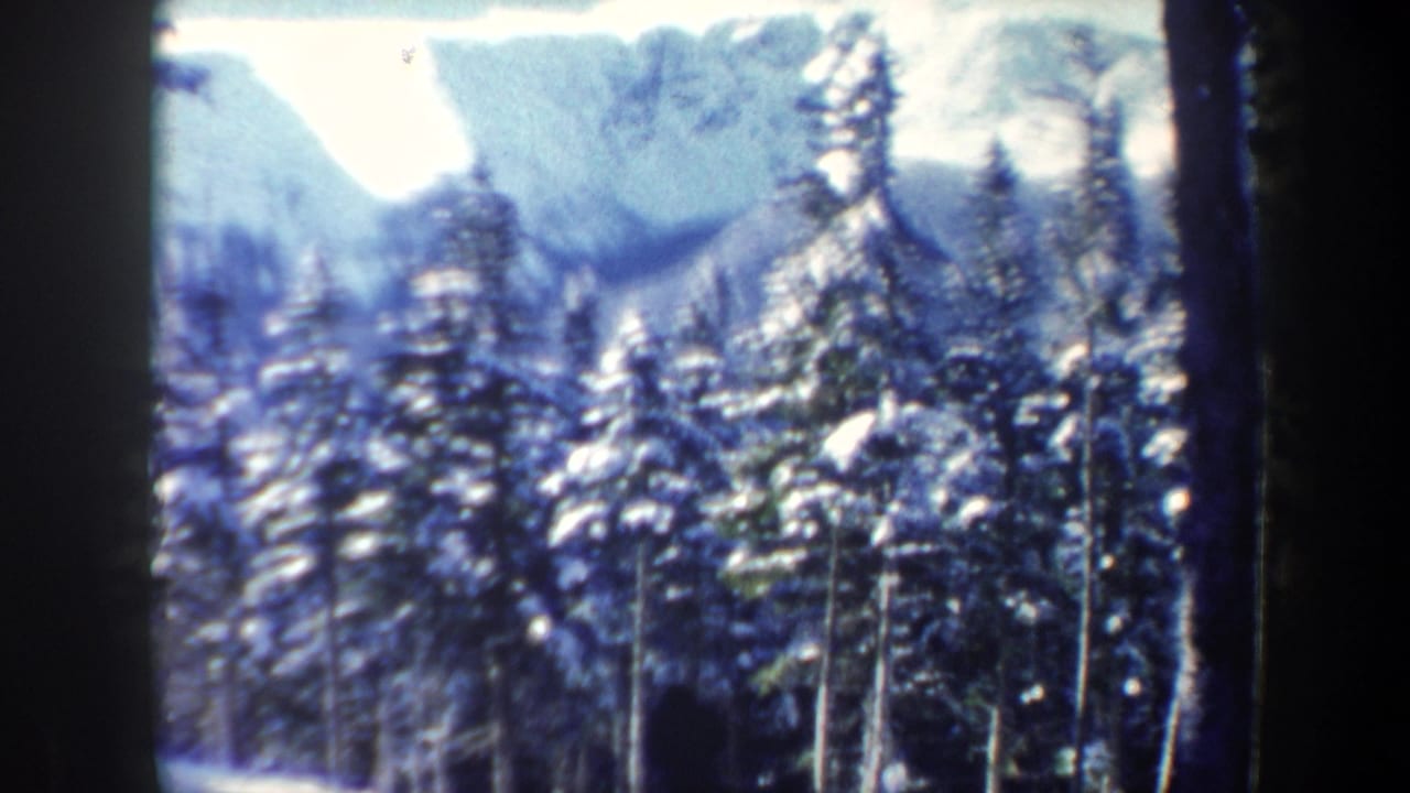 1962 New Hampshire 8mm frame showing snowy evergreens before a soft mountain backdrop under a cloudy winter sky.