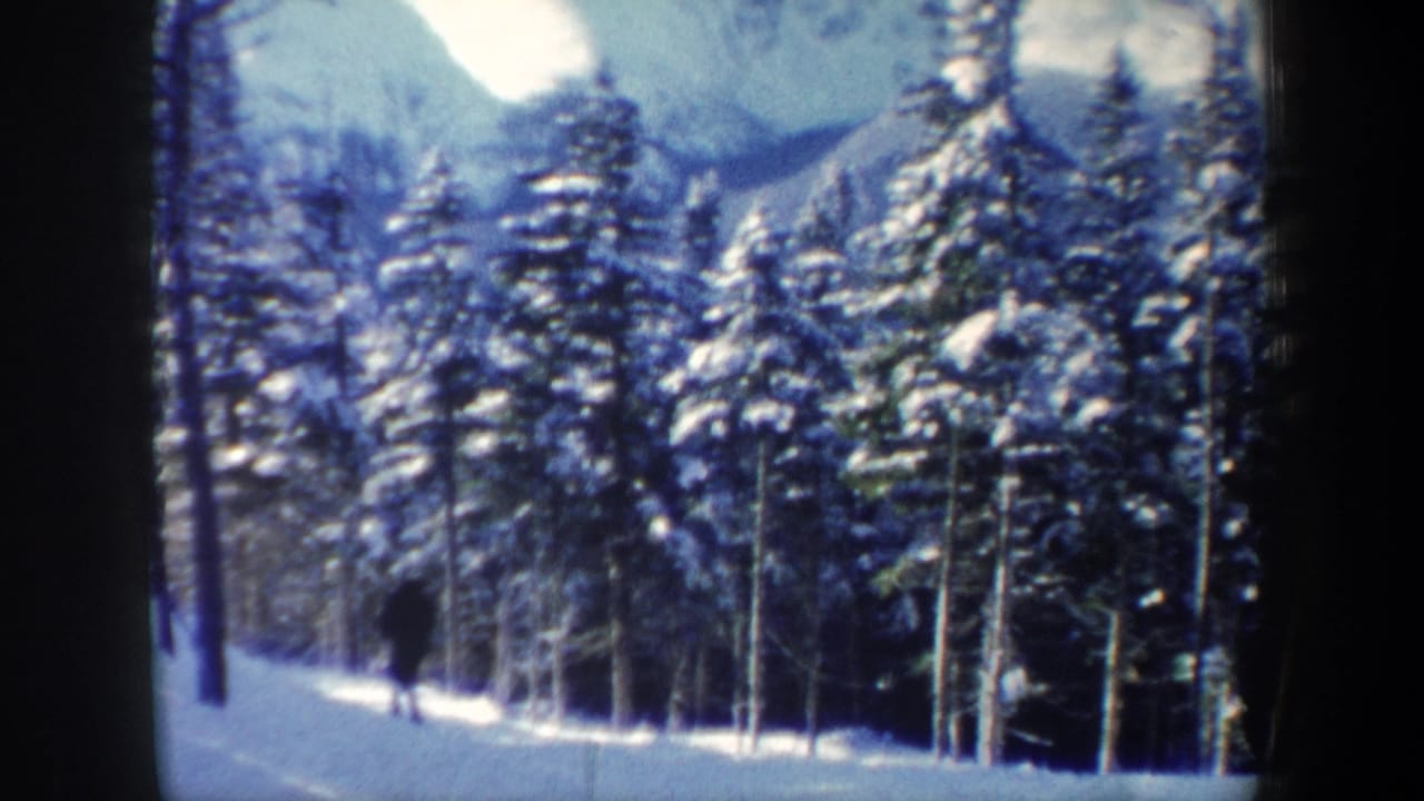 Snowy forest path with a distant dark figure walking among evergreens.