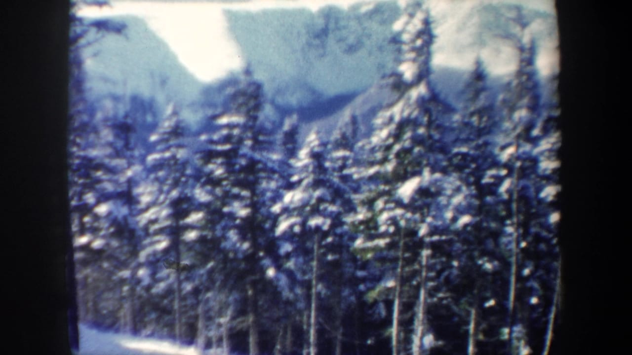 1962 New Hampshire 8mm frame showing snow-covered evergreens filling the foreground with pale mountains behind.