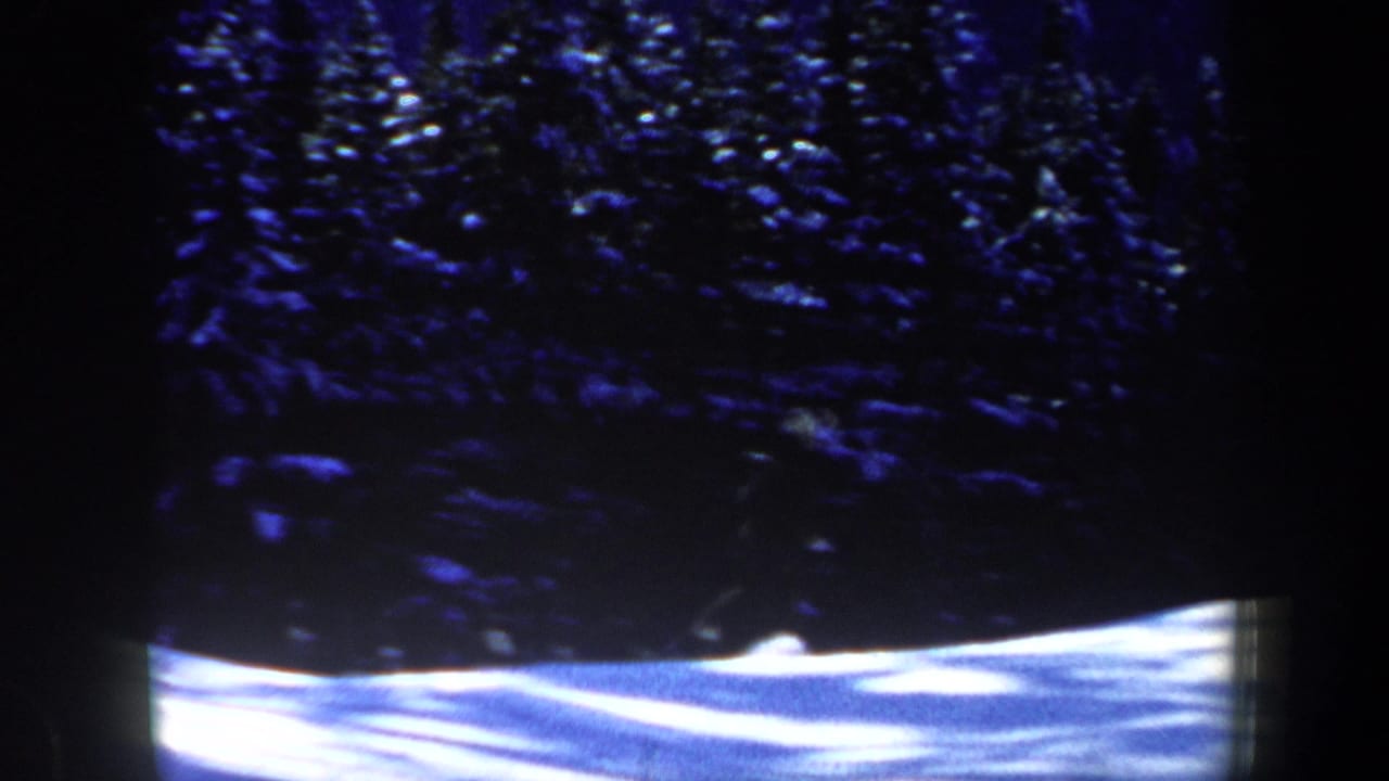 A snowy forest slope fills the frame as the skier becomes a blurred figure near the lower edge of the 8mm image.