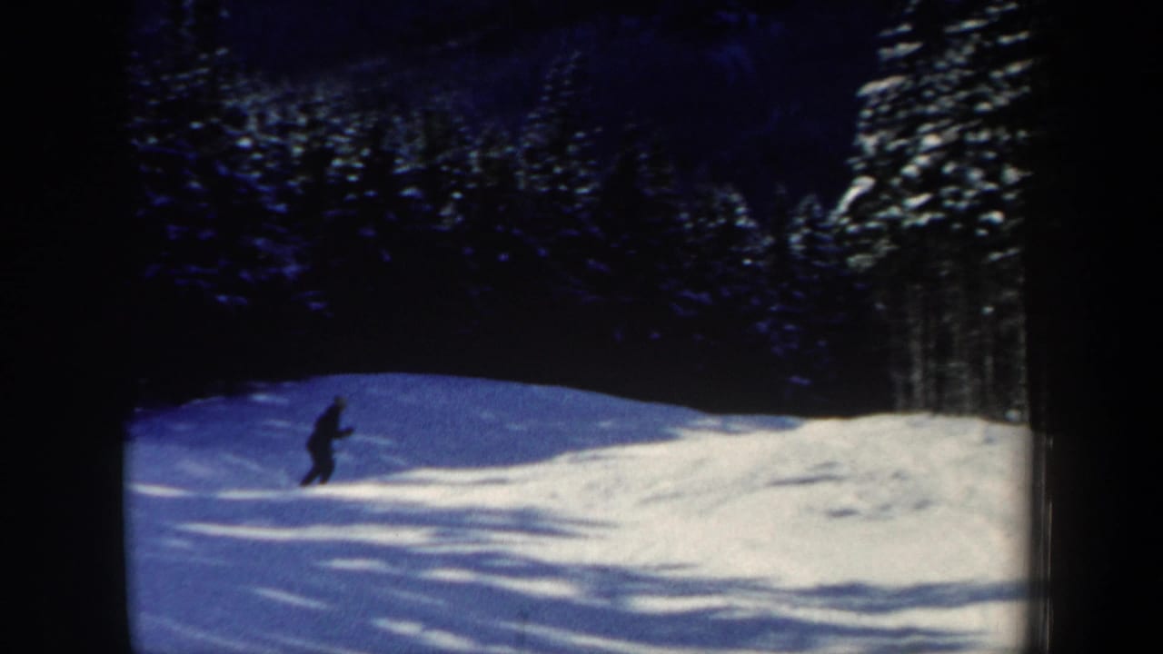 Skier gliding across a snow-covered slope with forest trees in the background.