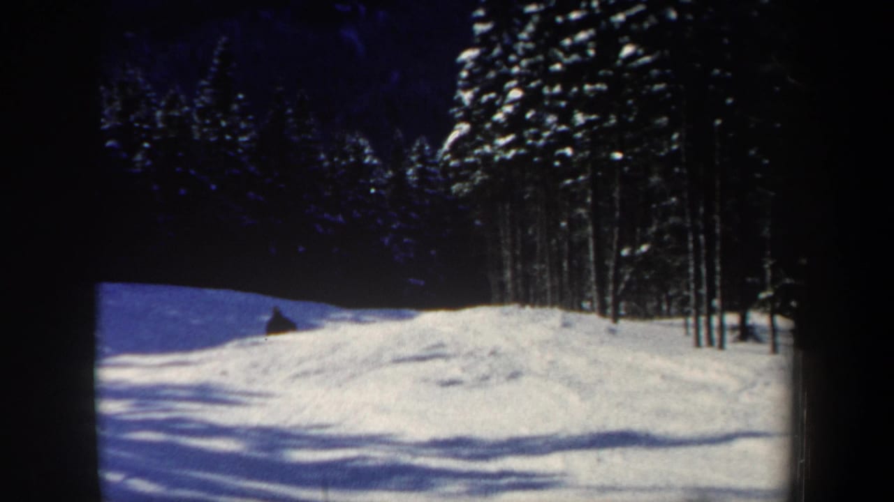 A small skier figure continues downhill across a bright snowfield, with tall forest trees along the right side.