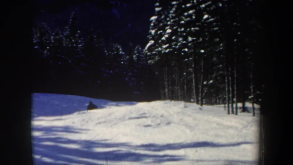 A small skier figure continues downhill across a bright snowfield, with tall forest trees along the right side.