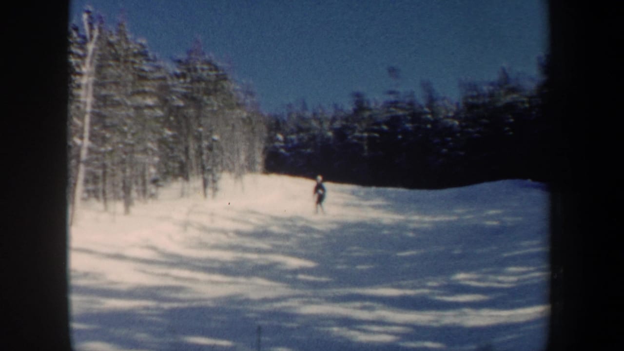 Distant skier on a snowy hill beside winter trees.
