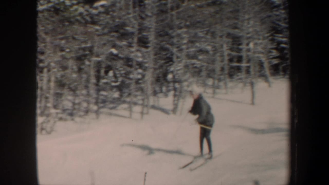 Skier with poles descends beside snow-covered trees.