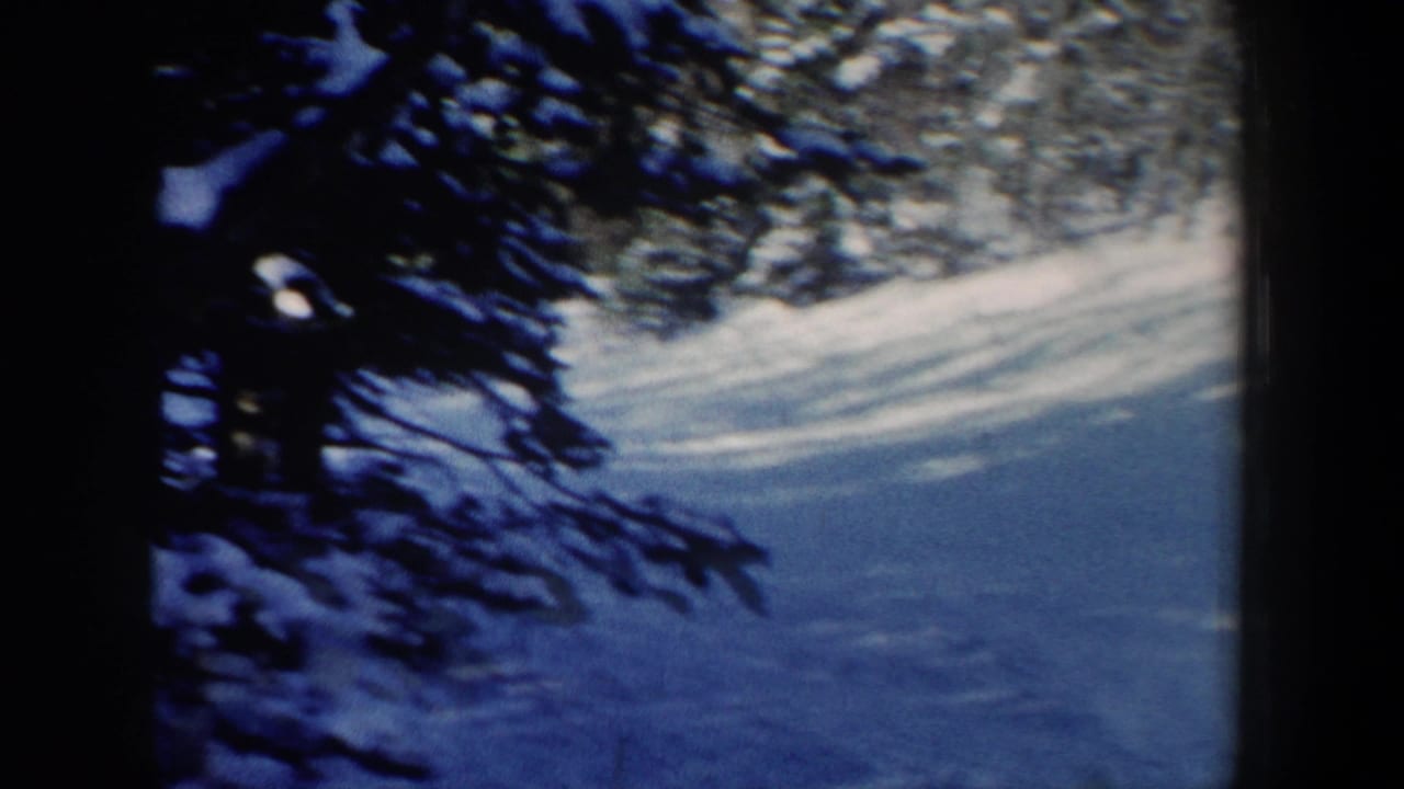 Snowy ski slope partly obscured by a dark evergreen branch.
