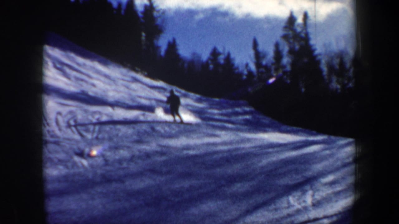 A skier crosses a sunlit snow slope with trees silhouetted along the ridge.