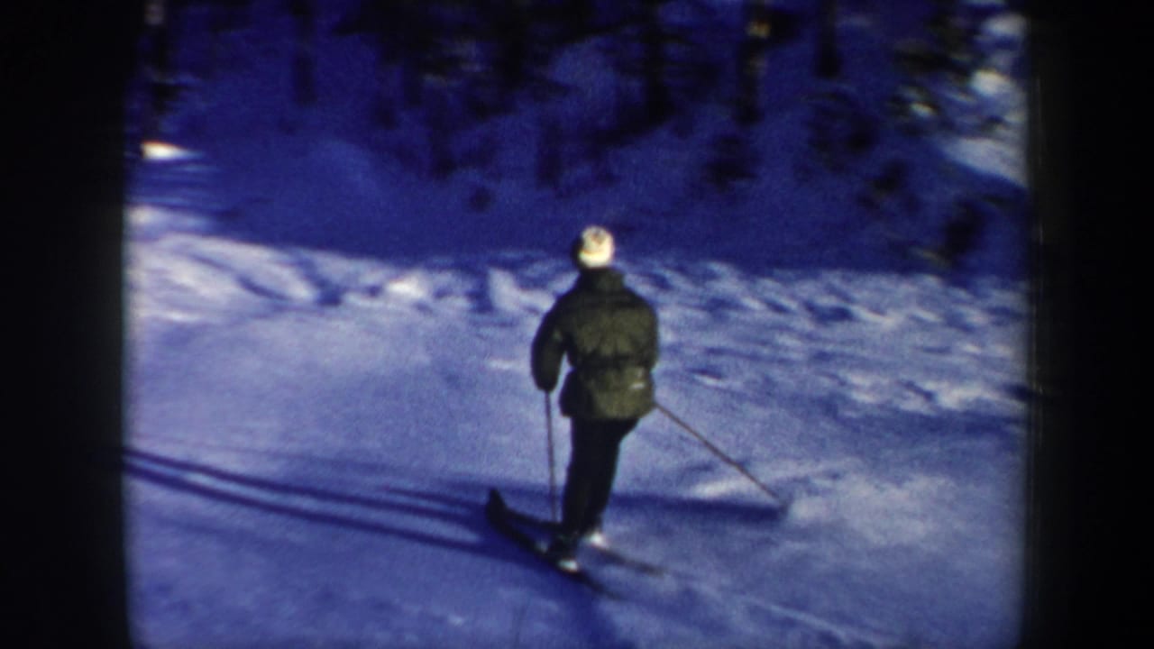 Skier seen from behind descending a snowy slope toward trees.