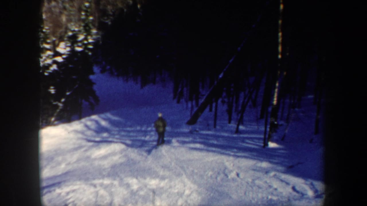 The skier appears small in the frame while approaching a dense evergreen forest across blue-tinted snow.