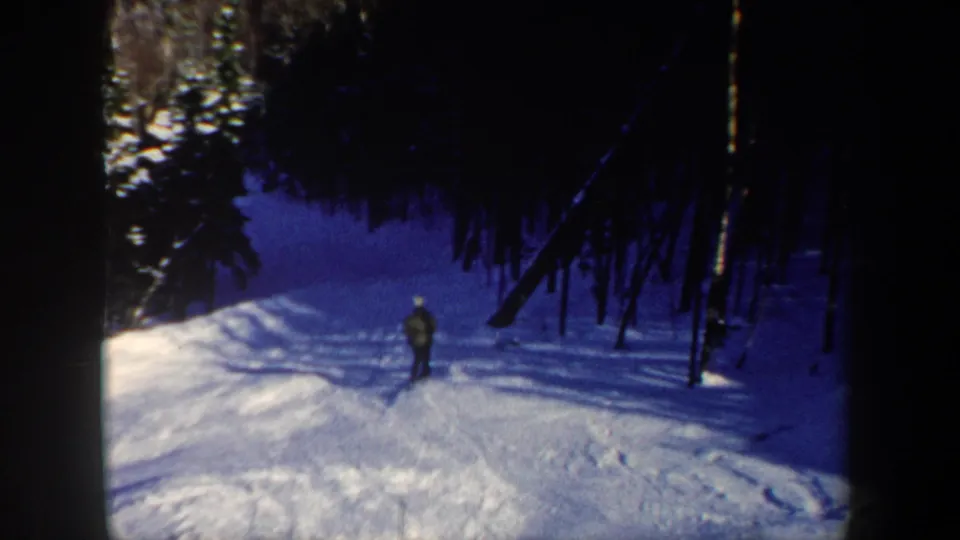The skier appears small in the frame while approaching a dense evergreen forest across blue-tinted snow.