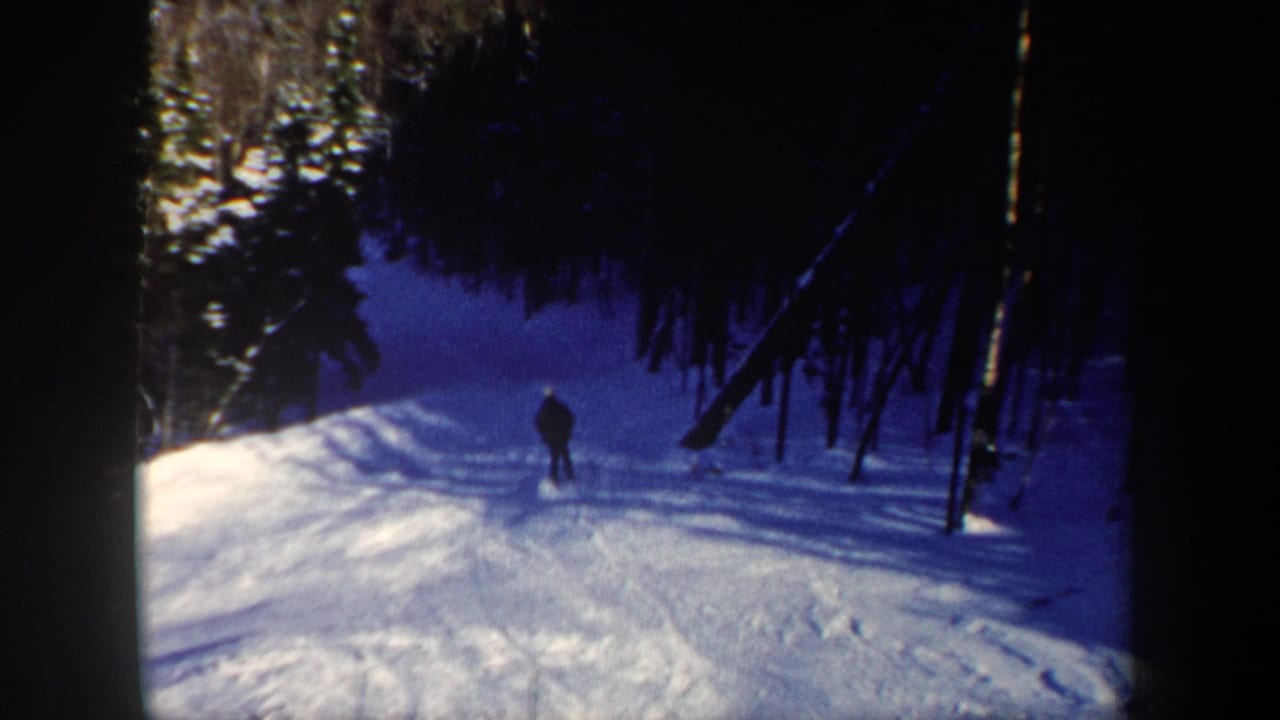 A distant skier moves down a snowy wooded slope between dark trees.