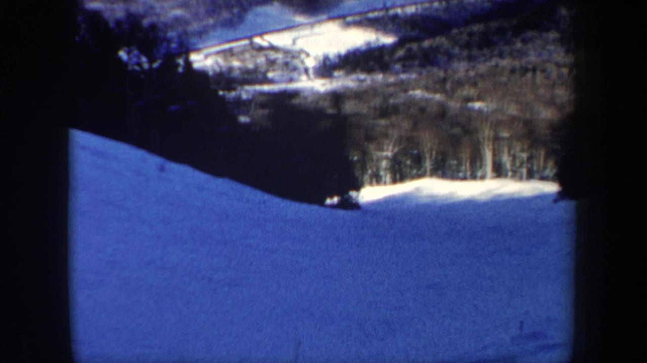 Blue-tinted snow slope with trees along the sides and wooded terrain in the distance.
