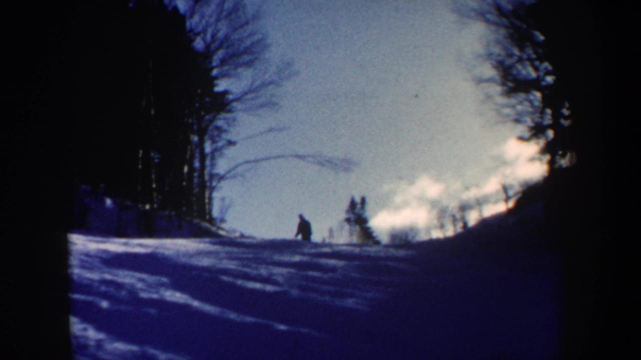 A silhouetted skier moves downhill across a bright snowy slope under a pale winter sky.
