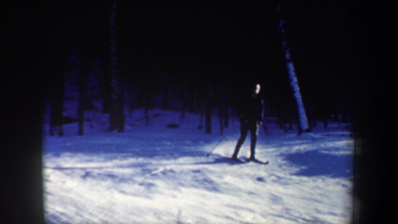 Skier in silhouette gliding downhill across a sunlit snowy forest slope.