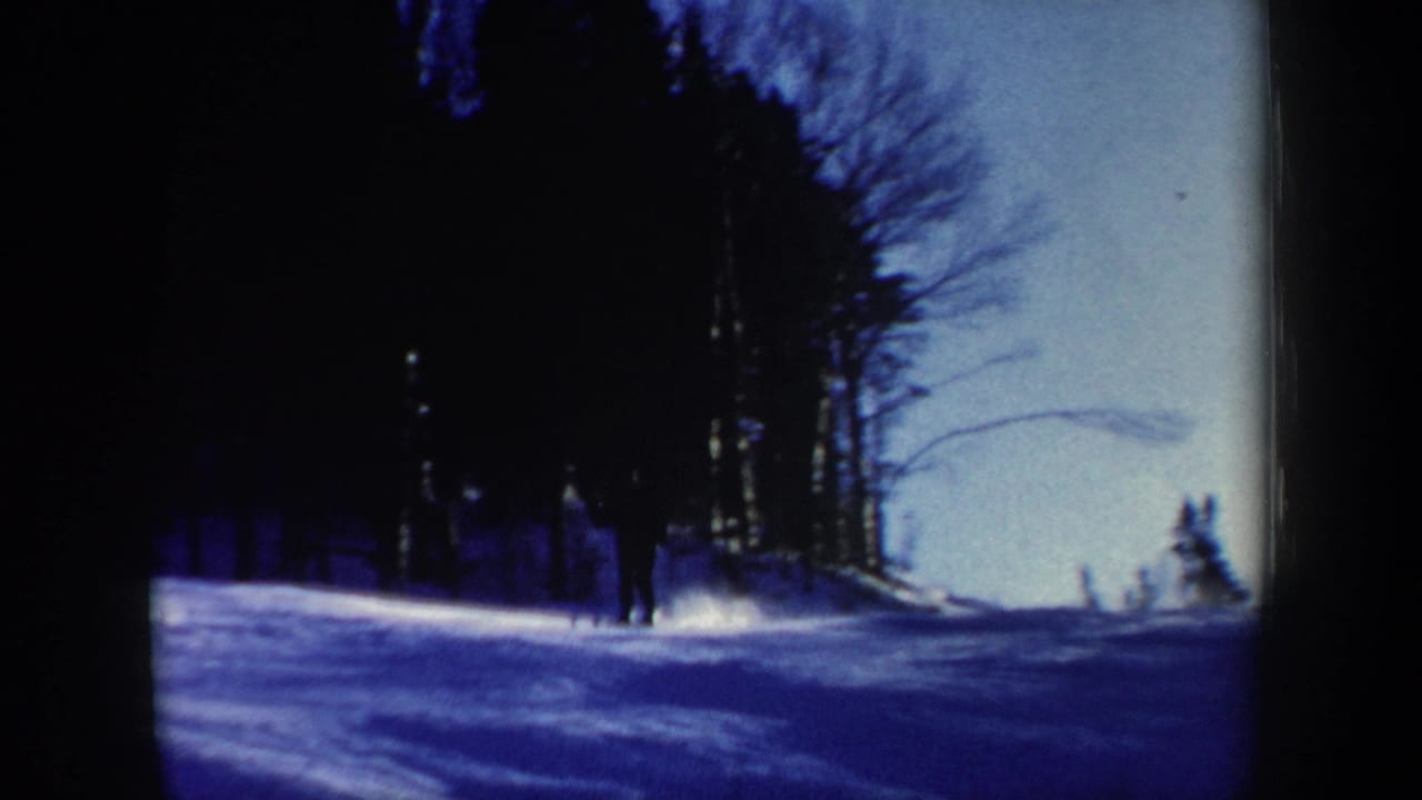 Small skier figure on a bright snow path bordered by trees.