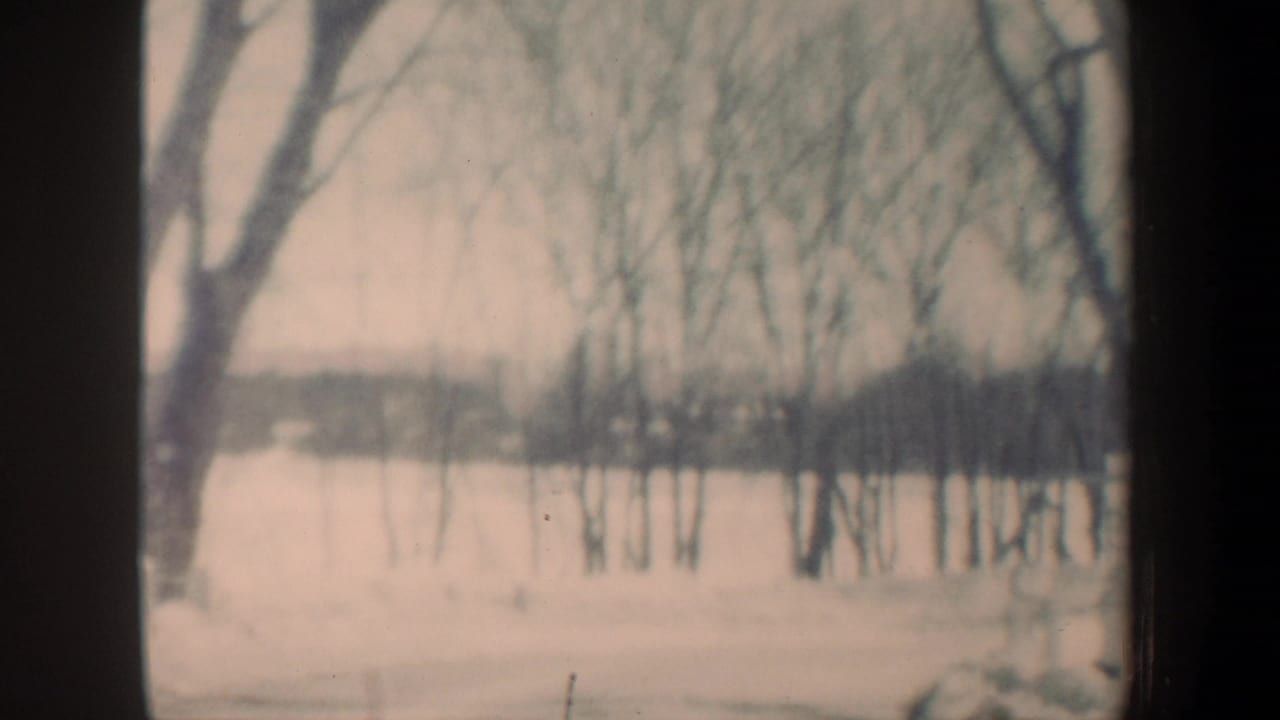 Snow-covered New Hampshire winter landscape with leafless trees and a distant frozen or snow-covered water view.
