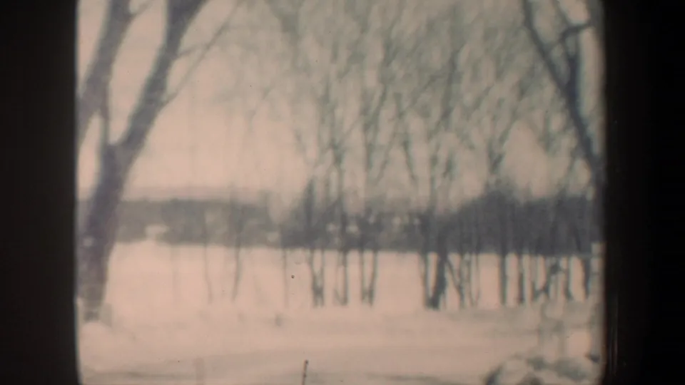 Snow-covered New Hampshire winter landscape with leafless trees and a distant frozen or snow-covered water view.