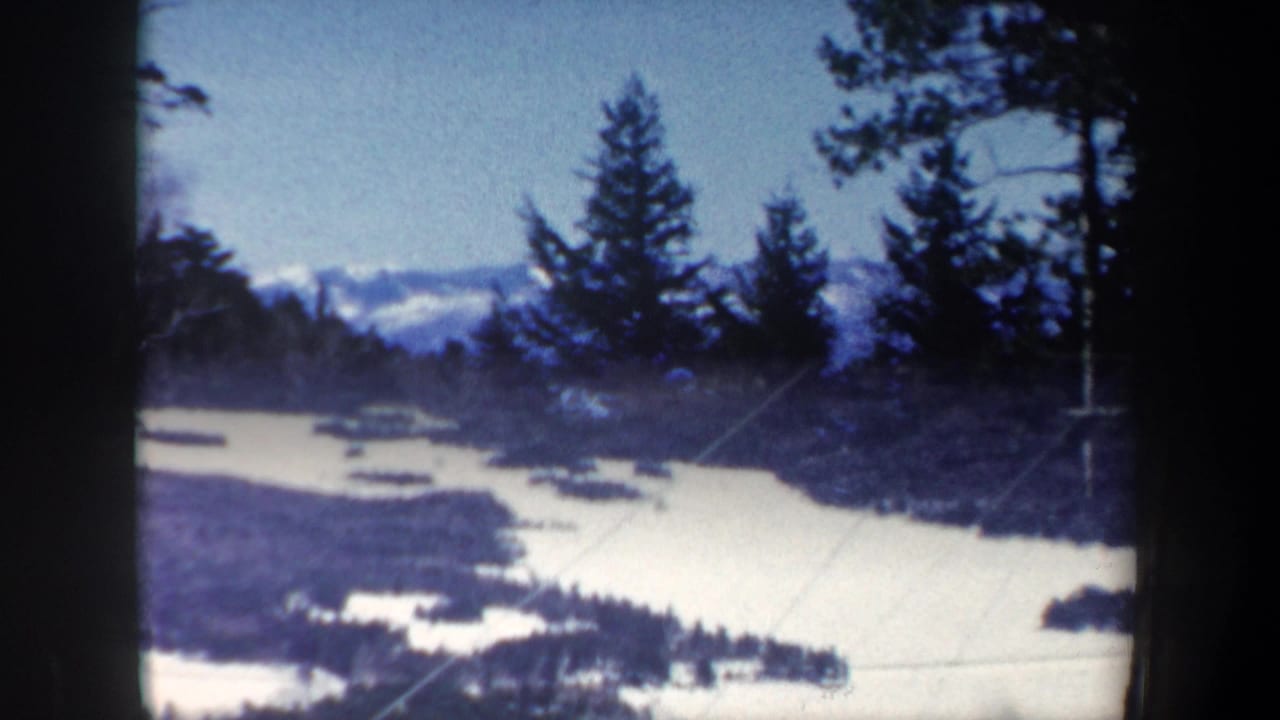 Elevated snowy overlook with trees in the foreground and frozen water below.
