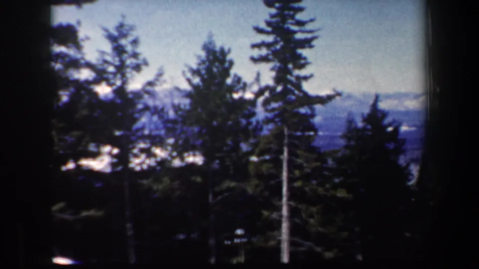 1962 New Hampshire home-movie still with close evergreen trunks, snow patches, and a soft distant mountain range.