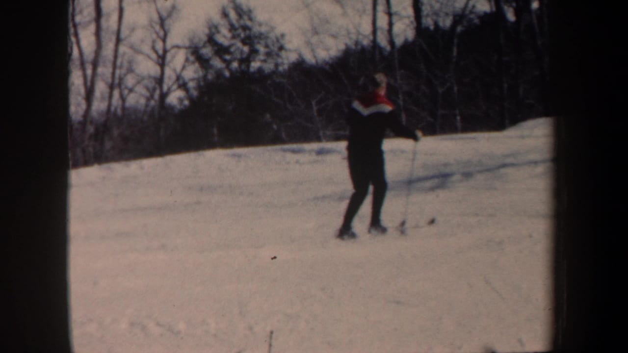 Skier stands on a gentle snowy hill with ski poles and winter trees in the background.