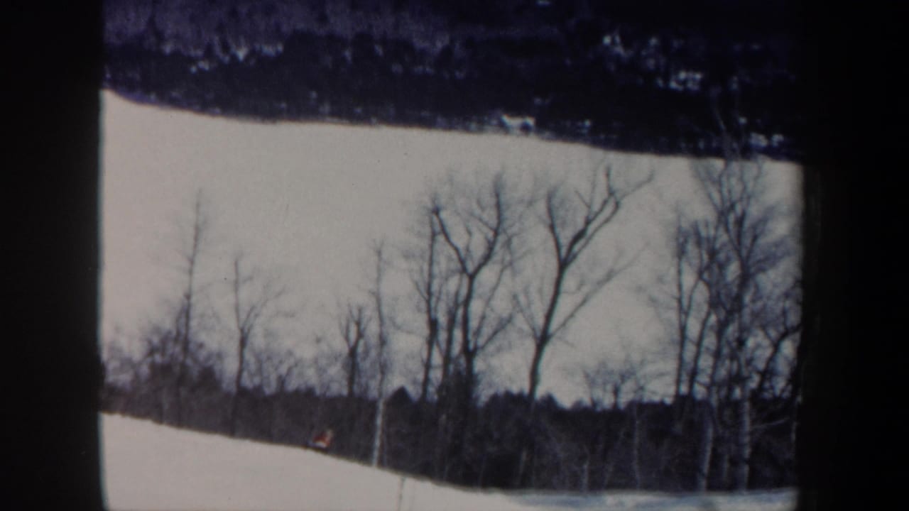 Snowy hillside with bare trees and a small skier near the left side.