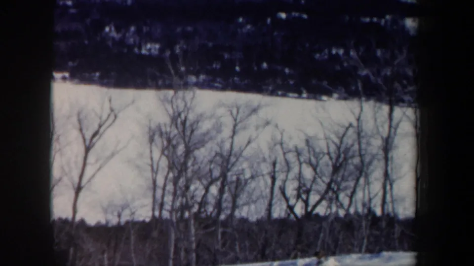 A soft 8mm view of bare winter trees and snow along a New Hampshire hillside, with no clear skier visible in this frame.