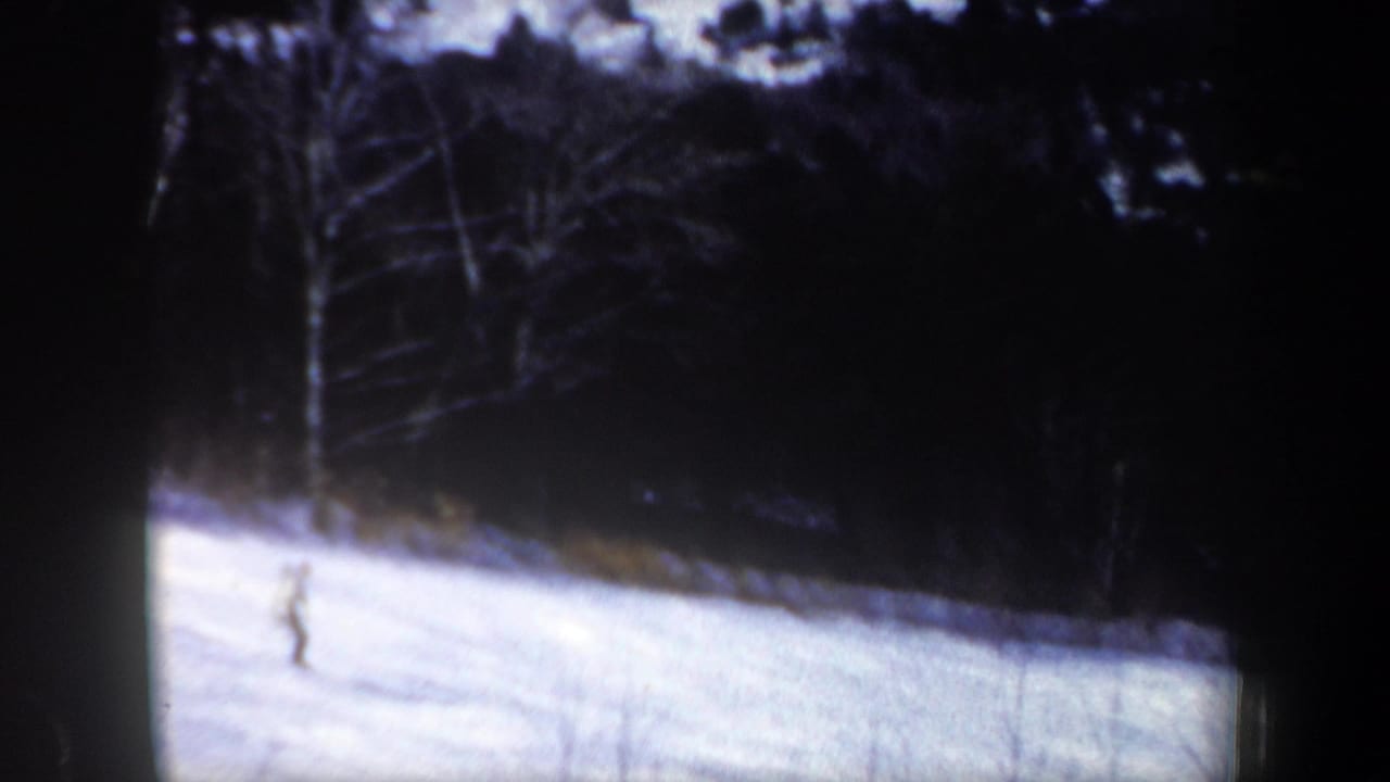 Skier in light clothing gliding on snow below a dark wooded edge.