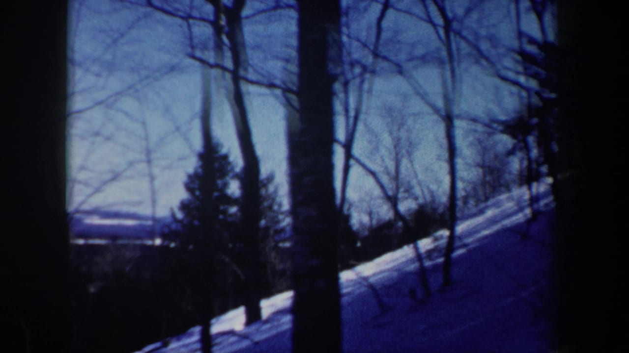 Snowy wooded slope with bare trees and blue sky.