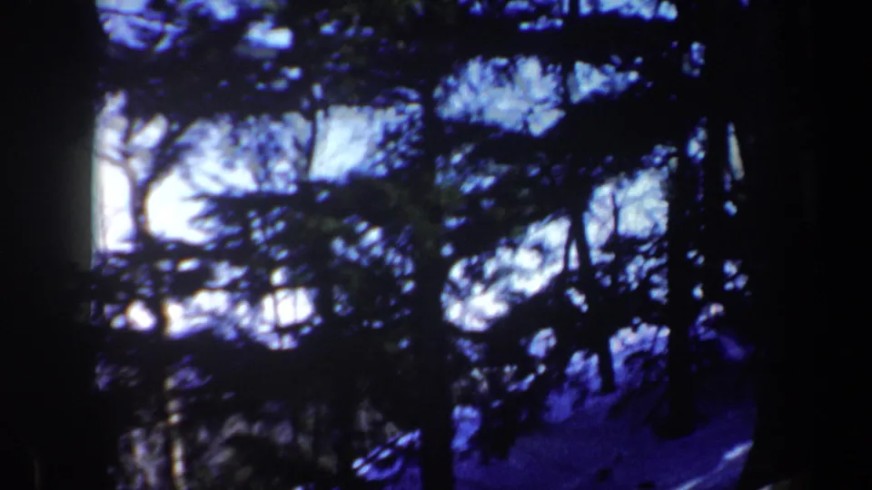 Shadowed 8mm frame of evergreens and bare branches over a snow-covered slope in the New Hampshire winter landscape.