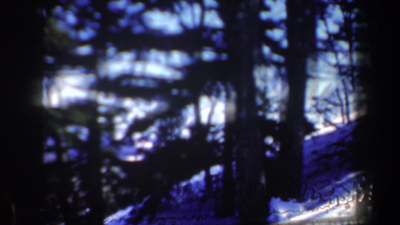 Dark wooded snow scene seen through a projected 8mm frame.