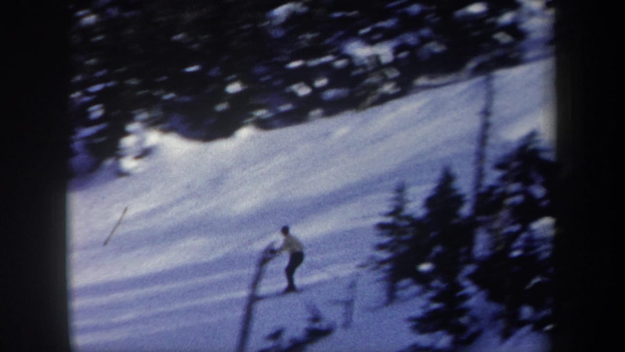 Lone skier descending a snowy slope near evergreen trees.