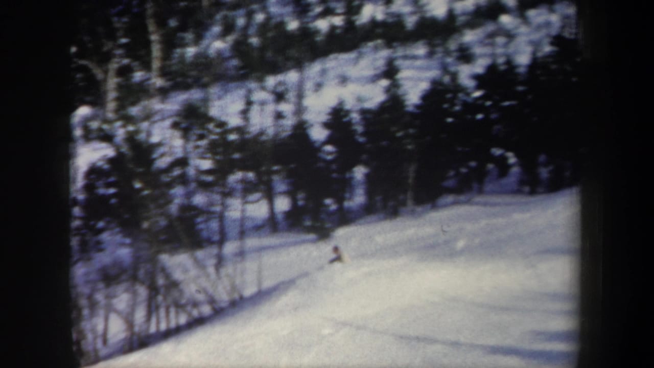 Distant skier descending a snowy slope bordered by dark evergreen trees.