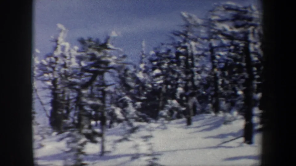 A handheld 8mm view shows a snowy wooded slope in the New York winter landscape, with trees crossing the frame.