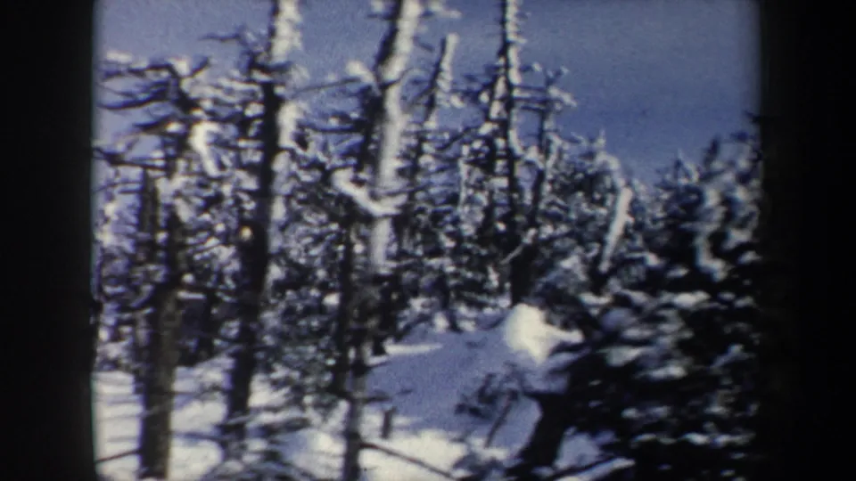 The final frame shows dense snow-covered trees on a mountain slope, with the skier no longer clearly visible.