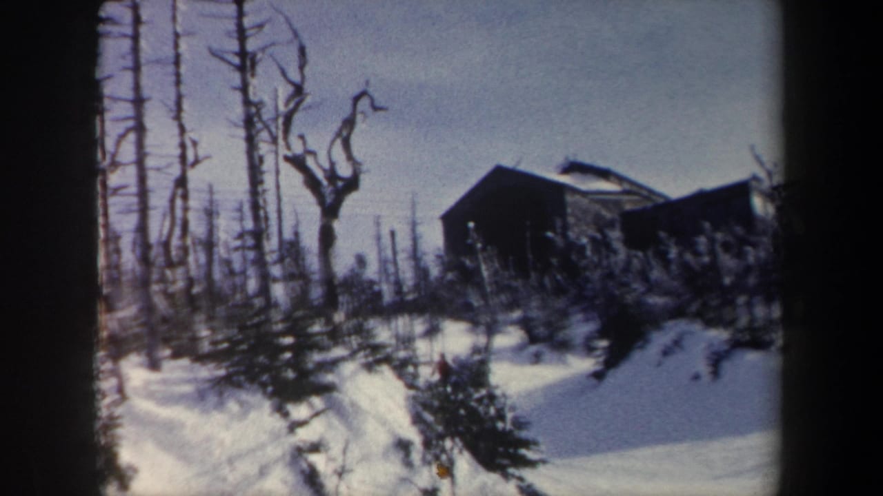Snowy wooded slope with a dark cabin beyond bare trees.