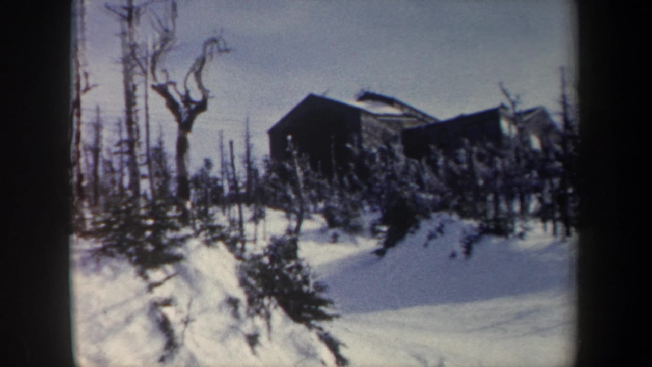 Snow-covered New York winter hillside with a dark cabin-like structure, bare trees, and small evergreens in soft 8mm color.