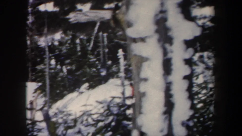 Final frame shows snow-laden pines and a partial view of the wooded ski slope in the 1962 New York home-movie footage.