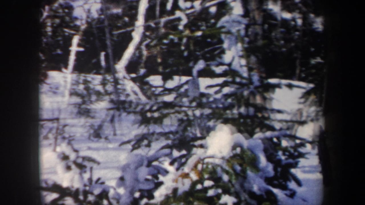 1962 New York 8mm frame with a distant skier in red moving through deep snow between birch-like trunks and evergreens.