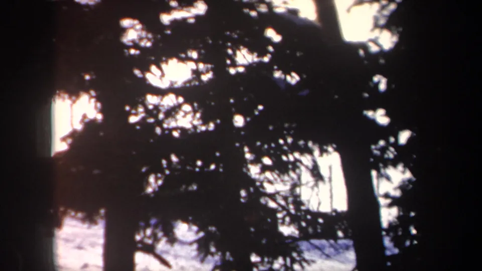 Silhouetted evergreens frame a bright snow-covered New York winter landscape in 1962 home-movie footage.