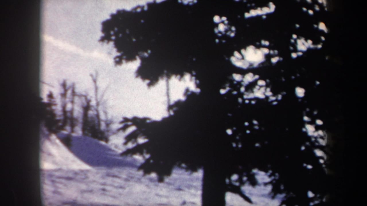 Snowy hillside seen through dark trees with bare branches in the distance.