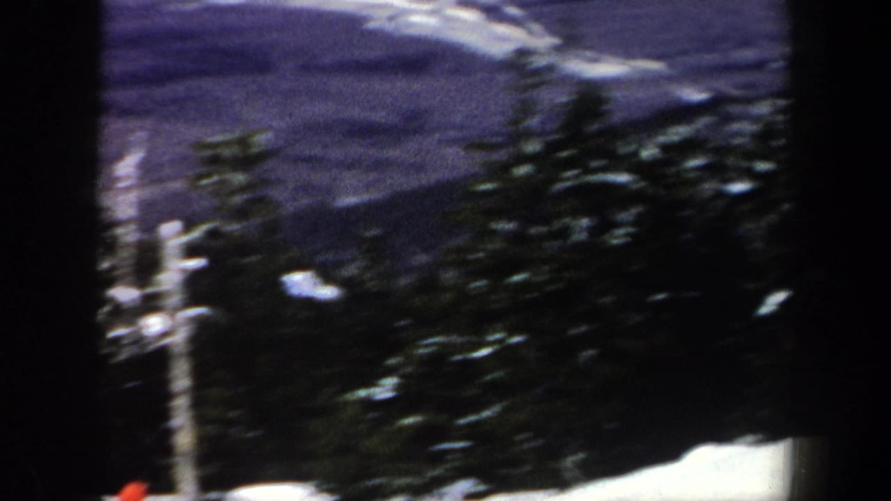 Snowy mountain view with dark evergreens, a pole, and blurred slope detail.
