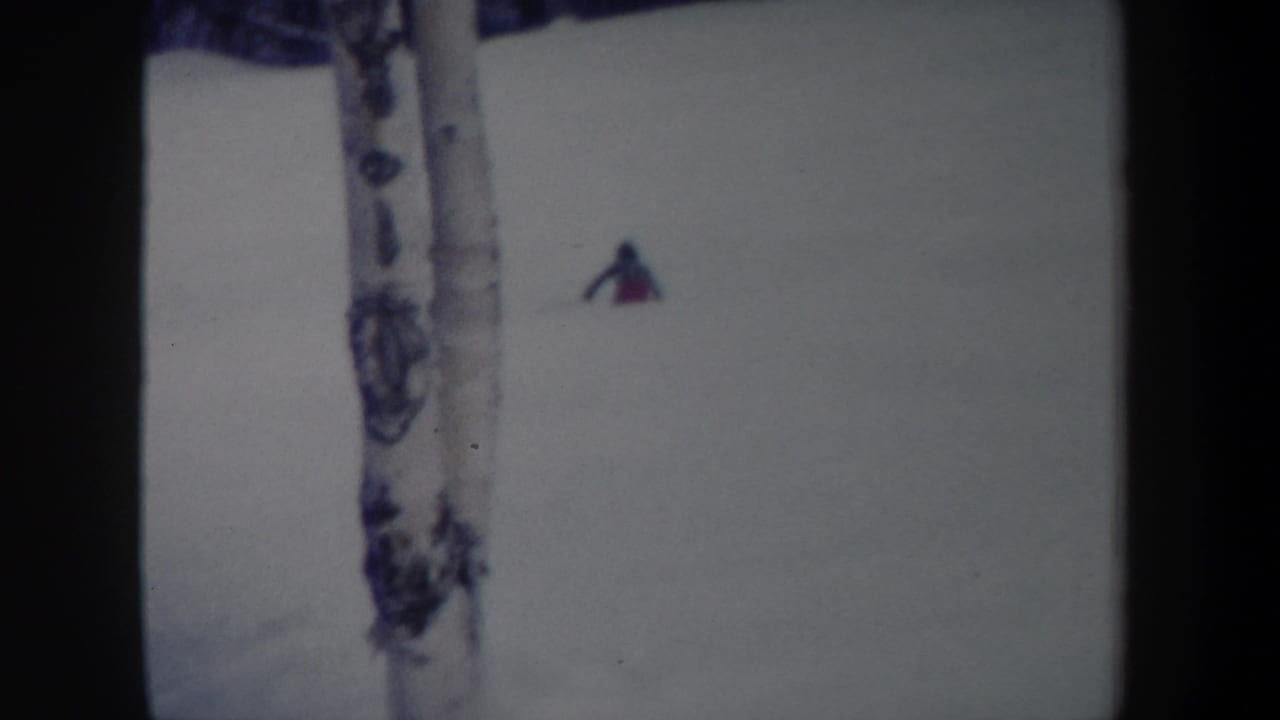 Small skier on a white slope partly framed by a birch trunk.