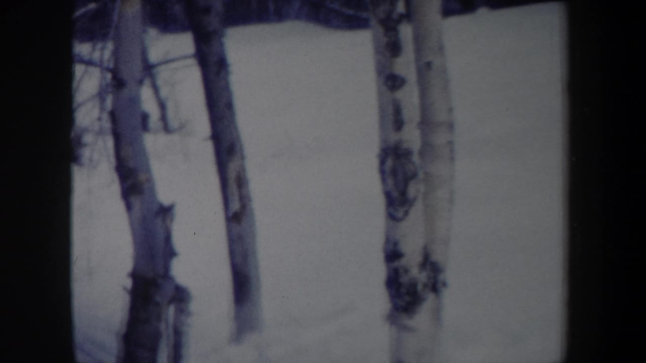 1962 New York 8mm frame showing snow and bare tree trunks near the edge of a wooded winter slope.