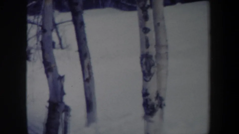 1962 New York 8mm frame showing snow and bare tree trunks near the edge of a wooded winter slope.