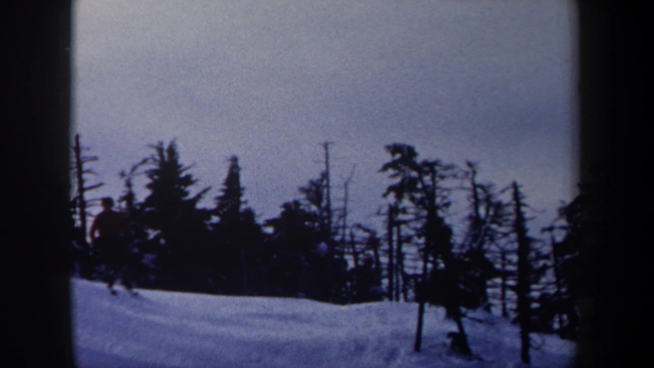 Snowy slope with dark evergreen trees and a small skier at right.