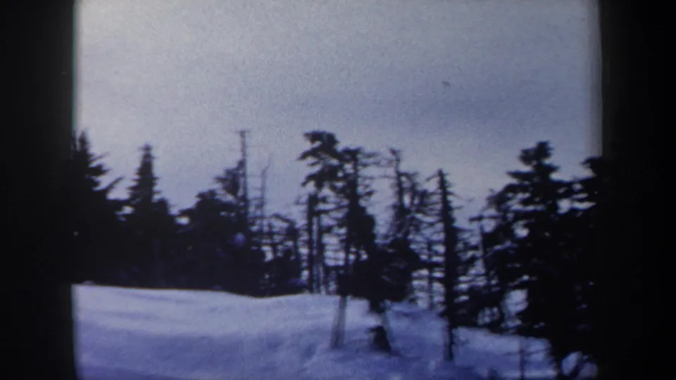 The 8mm frame shows a quiet snowy slope bordered by dark trees in a wooded New York winter setting.