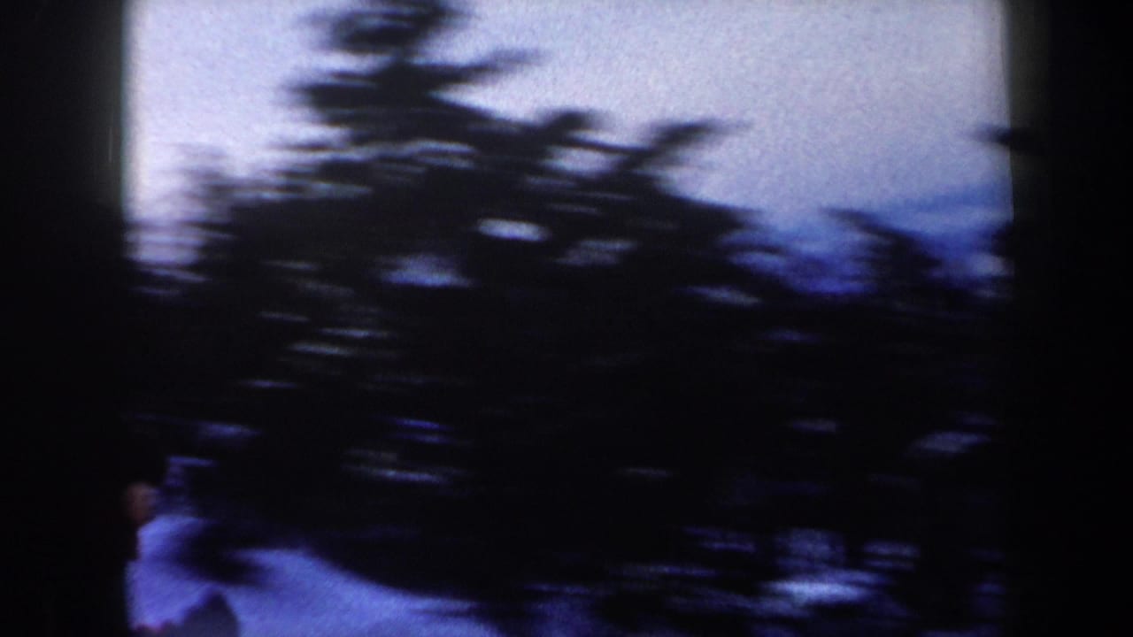 Motion-blurred 8mm frame from the New York ski clip, with dark trees and snow streaking past the camera.