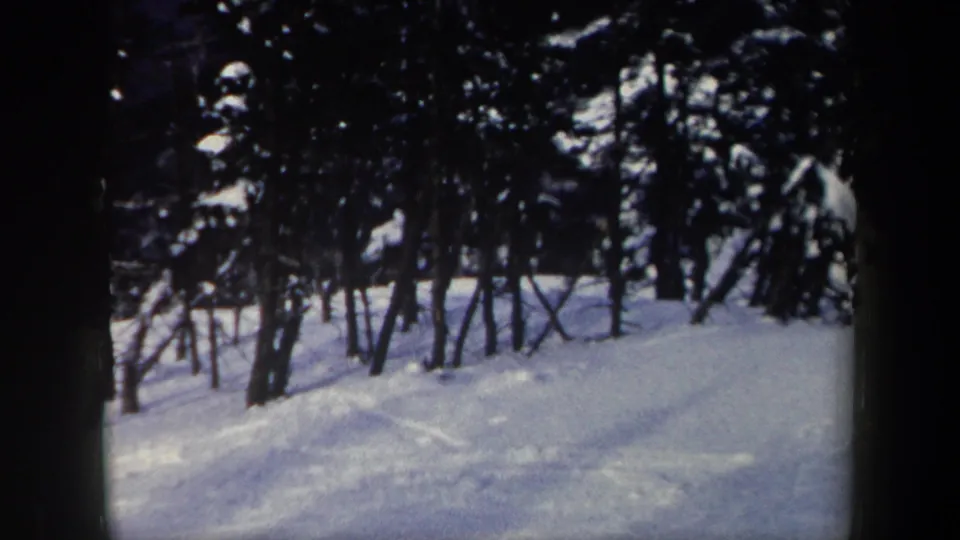 1962 New York 8mm frame of a snow-covered wooded slope with bare trees and no clearly visible skier.